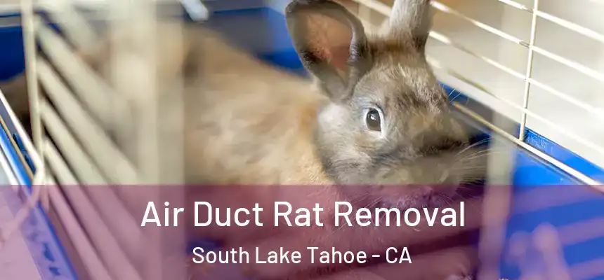 Air Duct Rat Removal South Lake Tahoe - CA