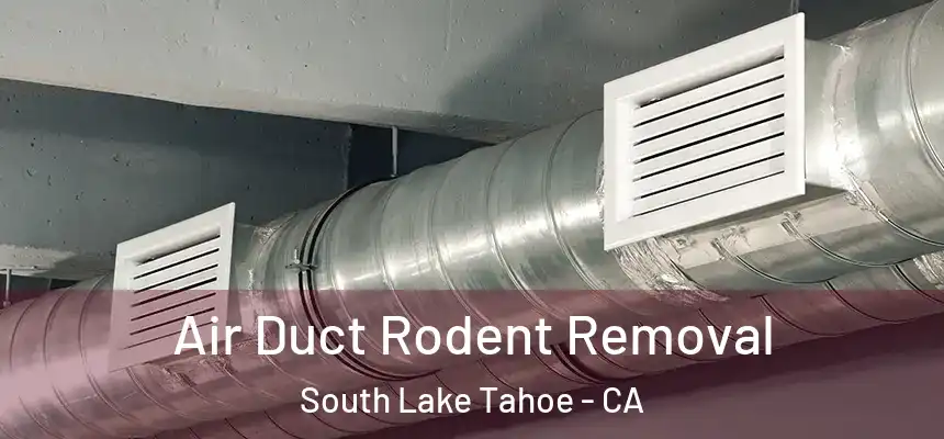  Air Duct Rodent Removal South Lake Tahoe - CA