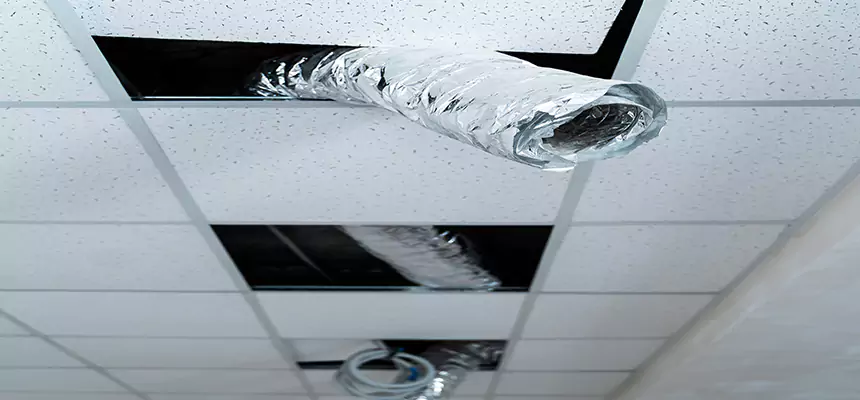 Affordable HVAC Sanitizing After Pest Removal in South Lake Tahoe