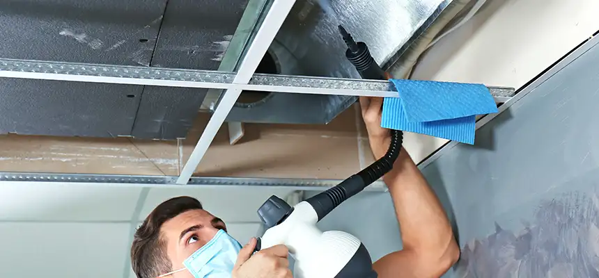Our Air Duct Rodent Removal Services in South Lake Tahoe, CA