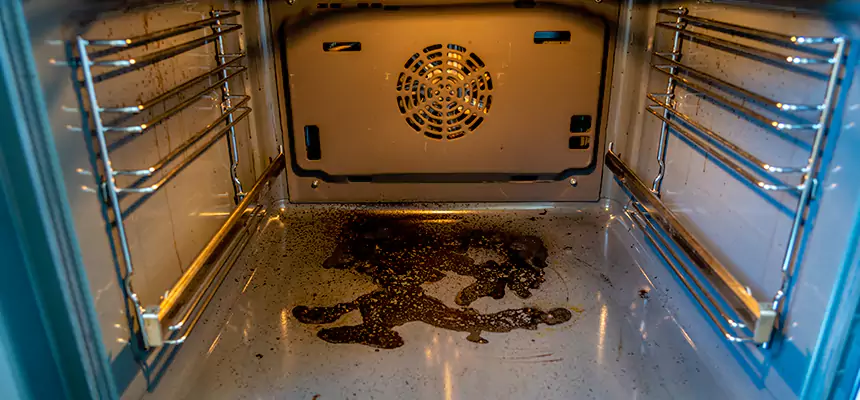 Our Dryer Vent Mold Cleaning Services in South Lake Tahoe, CA