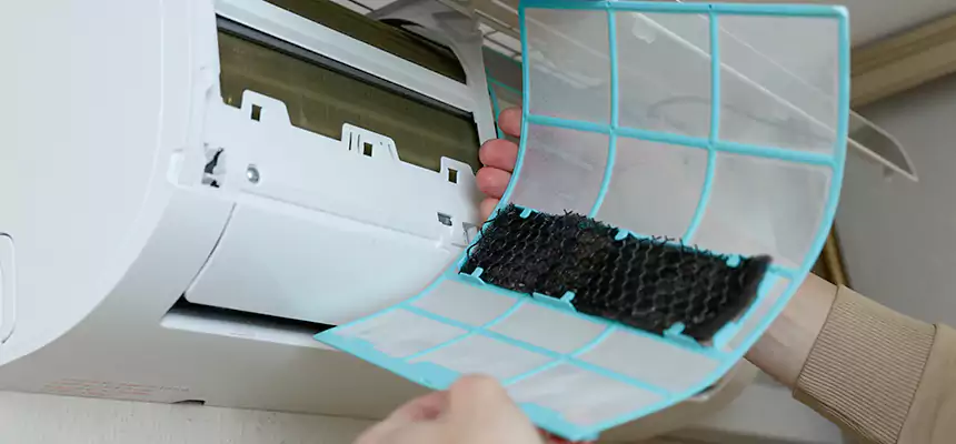 Gentle Ductwork Odor-Control Pet Dander Duct Cleaning in South Lake Tahoe, CA