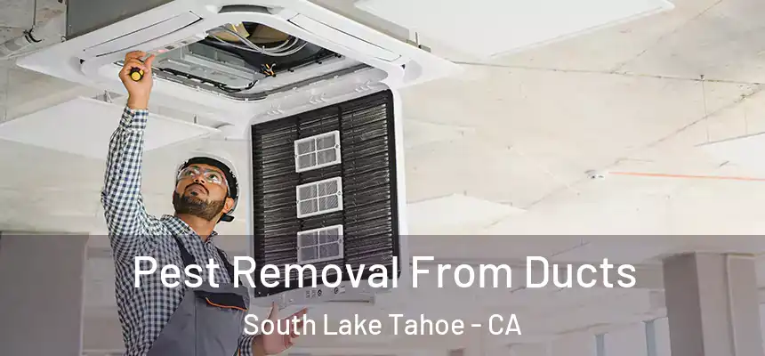 Pest Removal From Ducts South Lake Tahoe - CA