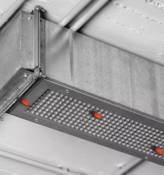 About Air Duct Cockroach Removal in South Lake Tahoe, CA