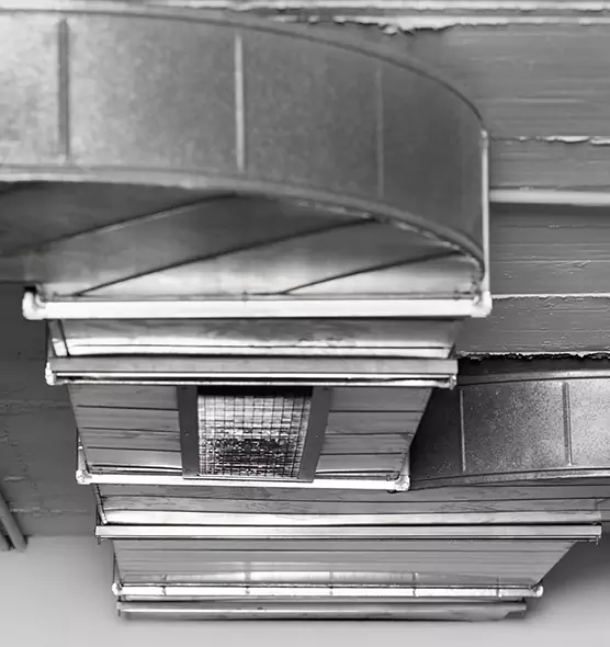 Professional Air Duct Pet Hair Removal in South Lake Tahoe, CA