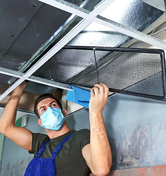 Professional Air Duct Pollen Cleaning in South Lake Tahoe, CA