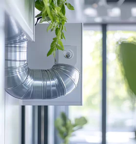 Professional Eco-Friendly Duct Cleaning Services in South Lake Tahoe, CA