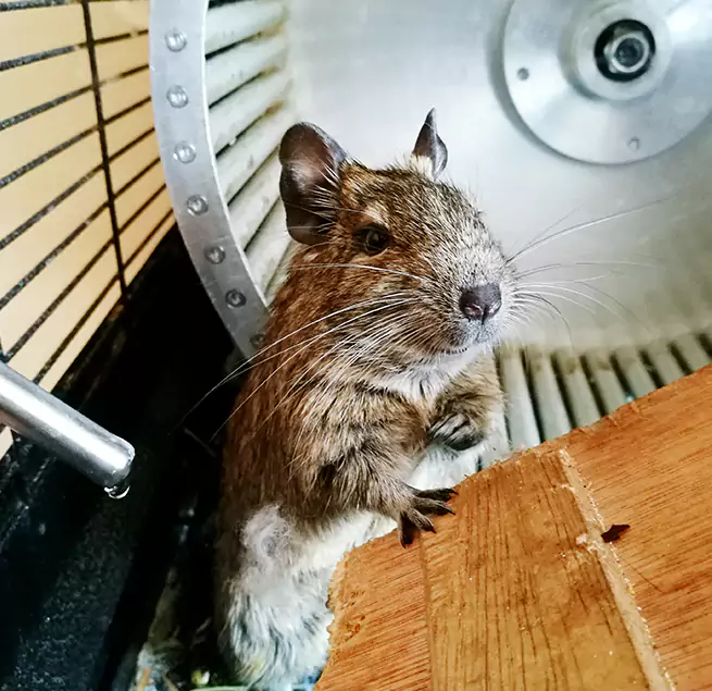 Why Homeowners & Businesses Trust Us South Lake Tahoe, CA